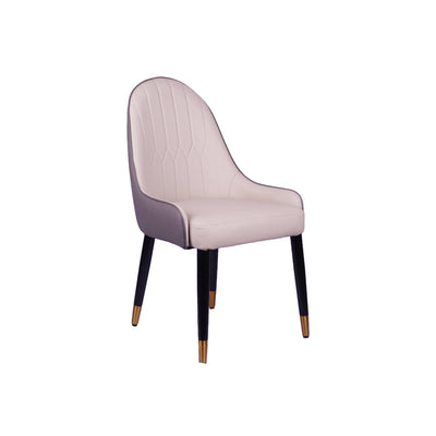 Lighten Multicolor Restaurant Dining Chair With Wooden Legs