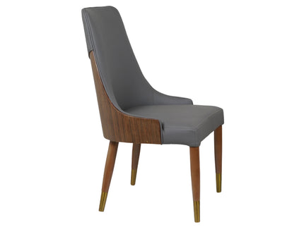 Arena Dining Chairs for Premium Dining