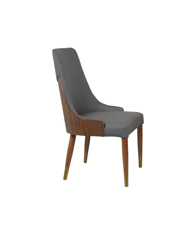 Arena Dining Chairs for Premium Dining