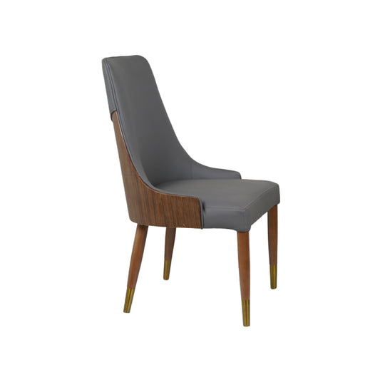 Arena Dining Chairs for Premium Dining