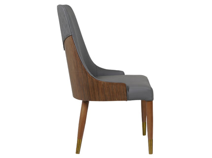 Arena Dining Chairs for Premium Dining