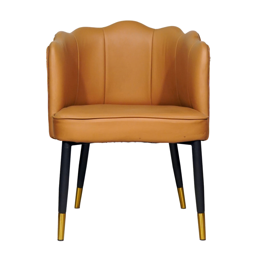 Bounce leather dining chair