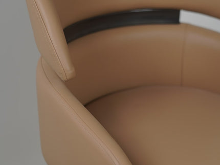 Frost Premium Dining Chair for Restaurants and Home Green Color