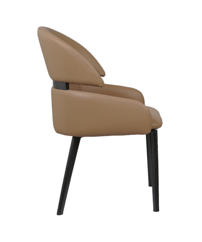 Frost Premium Dining Chair for Restaurants and Home Green Color