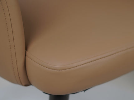 HOLO Premium Dining Chairs for Home or Restaurant Color