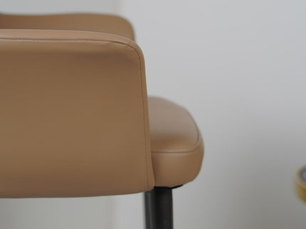 HOLO Premium Dining Chairs for Home or Restaurant Color