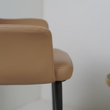 HOLO Premium Dining Chairs for Home or Restaurant Color