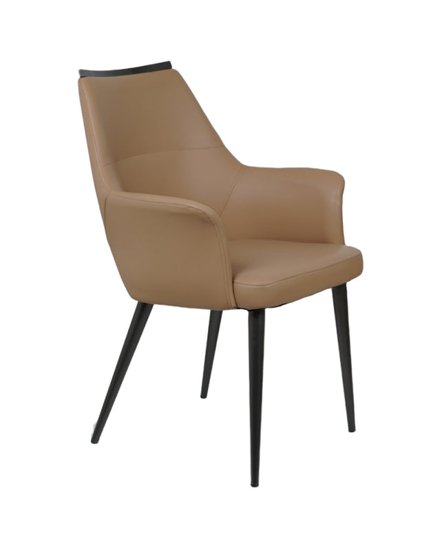 HOLO Premium Dining Chairs for Home or Restaurant Color