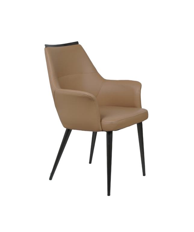HOLO Premium Dining Chairs for Home or Restaurant Color