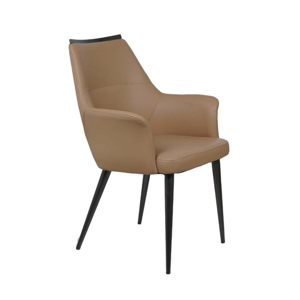 HOLO Premium Dining Chairs for Home or Restaurant Color