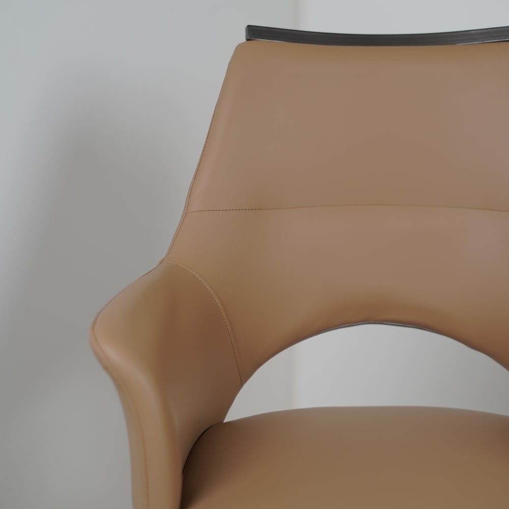 HOLO Premium Dining Chairs for Home or Restaurant Color