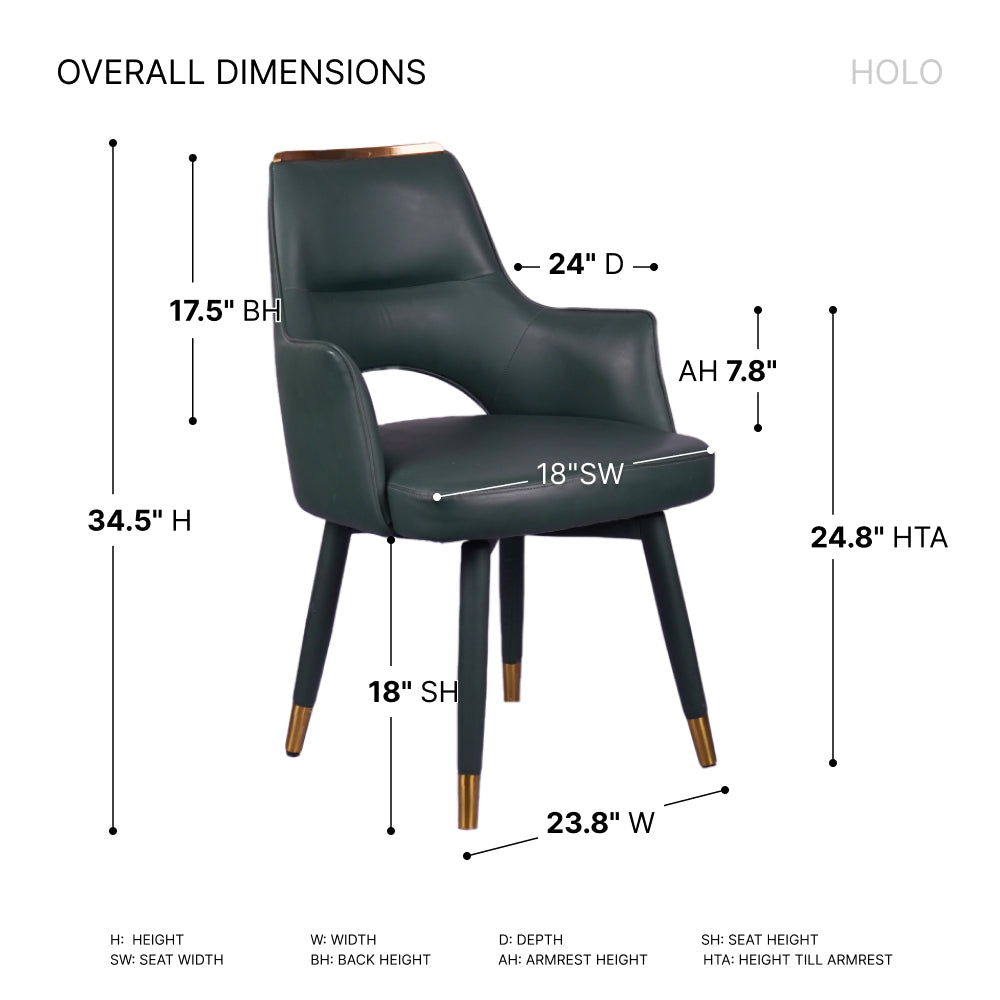 HOLO Premium Dining Chairs for Home or Restaurant Color