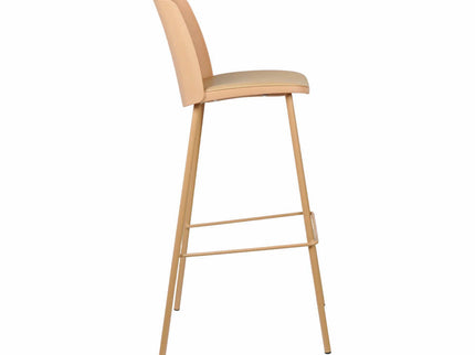 Lander Bar Stool with Cushion
