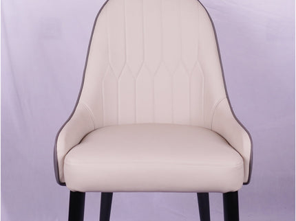 Lighten Multicolor Restaurant Dining Chair With Wooden Legs