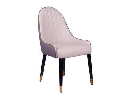 Lighten Multicolor Restaurant Dining Chair With Wooden Legs