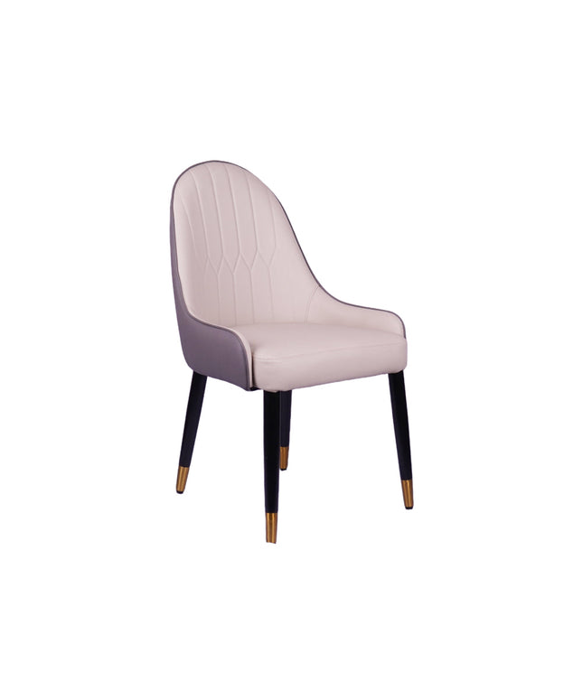Lighten Multicolor Restaurant Dining Chair With Wooden Legs