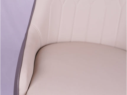 Lighten Multicolor Restaurant Dining Chair With Wooden Legs