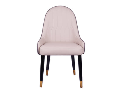 Lighten Multicolor Restaurant Dining Chair With Wooden Legs