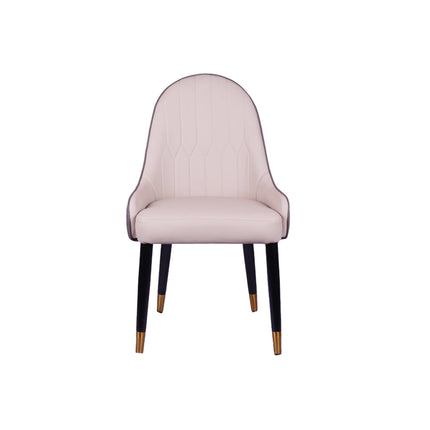 Lighten Multicolor Restaurant Dining Chair With Wooden Legs