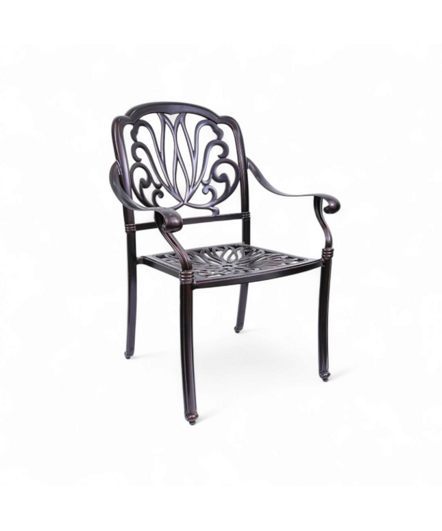 Castol Aluminum Chair