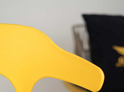 Ria Modern Cafe Chairs in Fiber