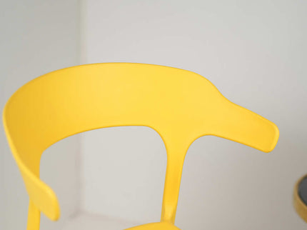 Ria Modern Cafe Chairs in Fiber