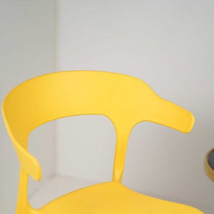 Ria Modern Cafe Chairs in Fiber