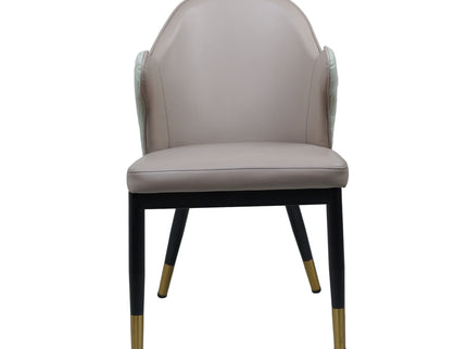 Savy Multi Colour Dining Chairs for Restaurant