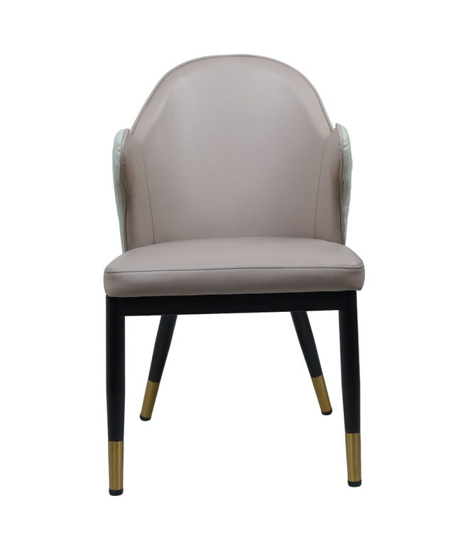Savy Multi Colour Dining Chairs for Restaurant