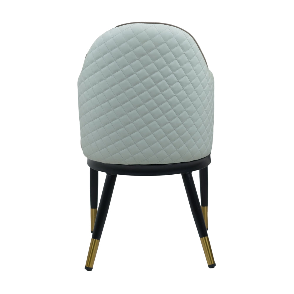 Savy Multi Colour Dining Chairs for Restaurant