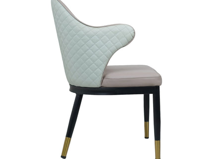 Savy Multi Colour Dining Chairs for Restaurant