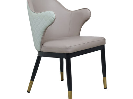Savy Multi Colour Dining Chairs for Restaurant