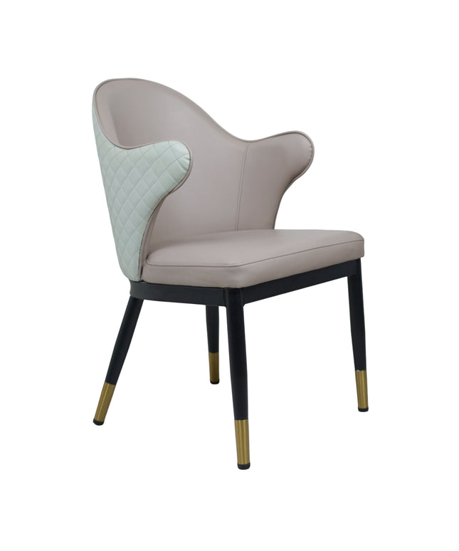 Savy Multi Colour Dining Chairs for Restaurant