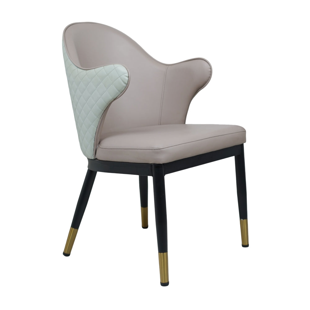 Savy Multi Colour Dining Chairs for Restaurant