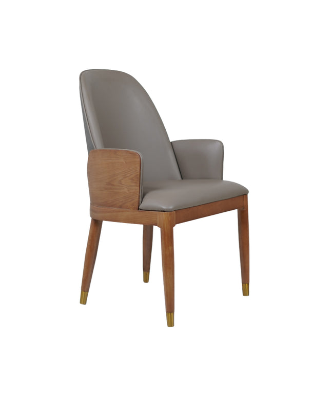 Sonic Dining Chairs With Wooden Back