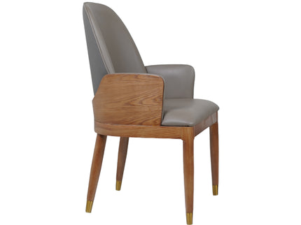 Sonic Dining Chairs With Wooden Back