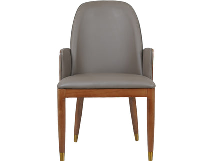 Sonic Dining Chairs With Wooden Back