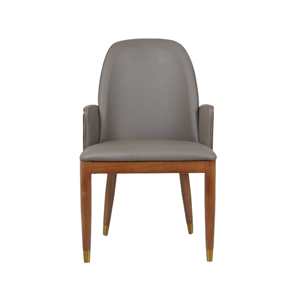 Sonic Dining Chairs With Wooden Back