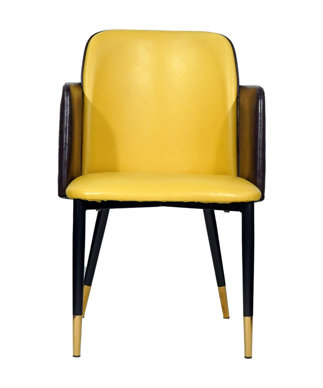 Suit Double Back Leather Dining Chair Imported