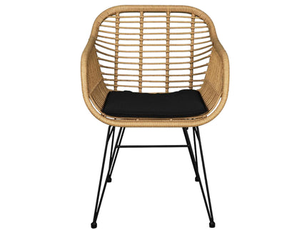 Canva Outdoor Pvc Cane Chair