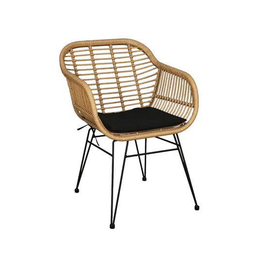 Canva Outdoor Pvc Cane Chair